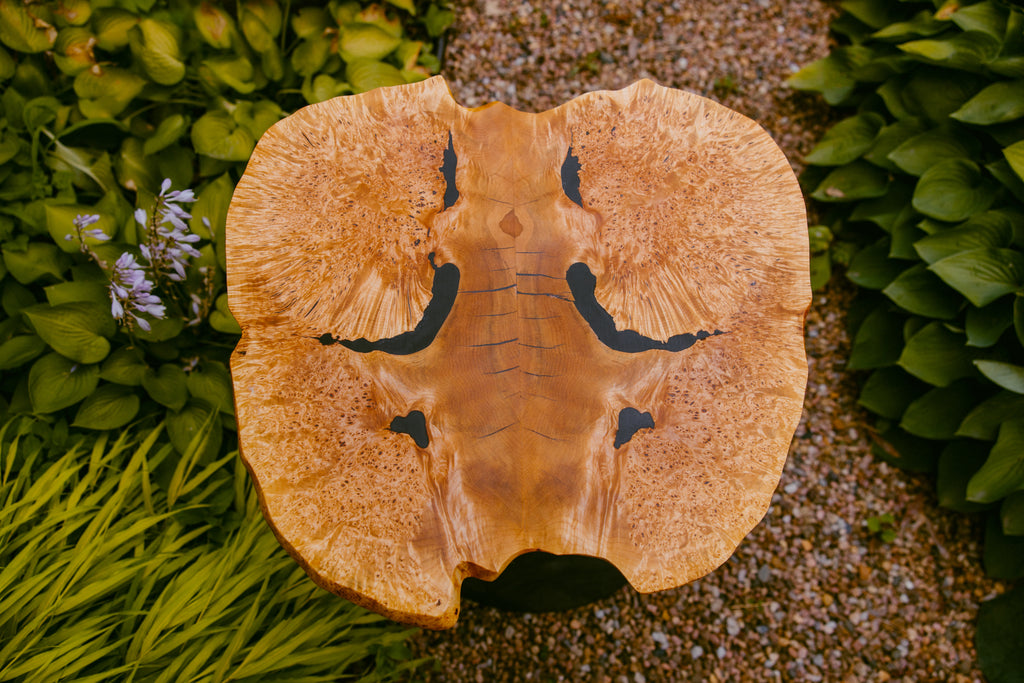 Maple burl and Dyed White Oak side table pair
