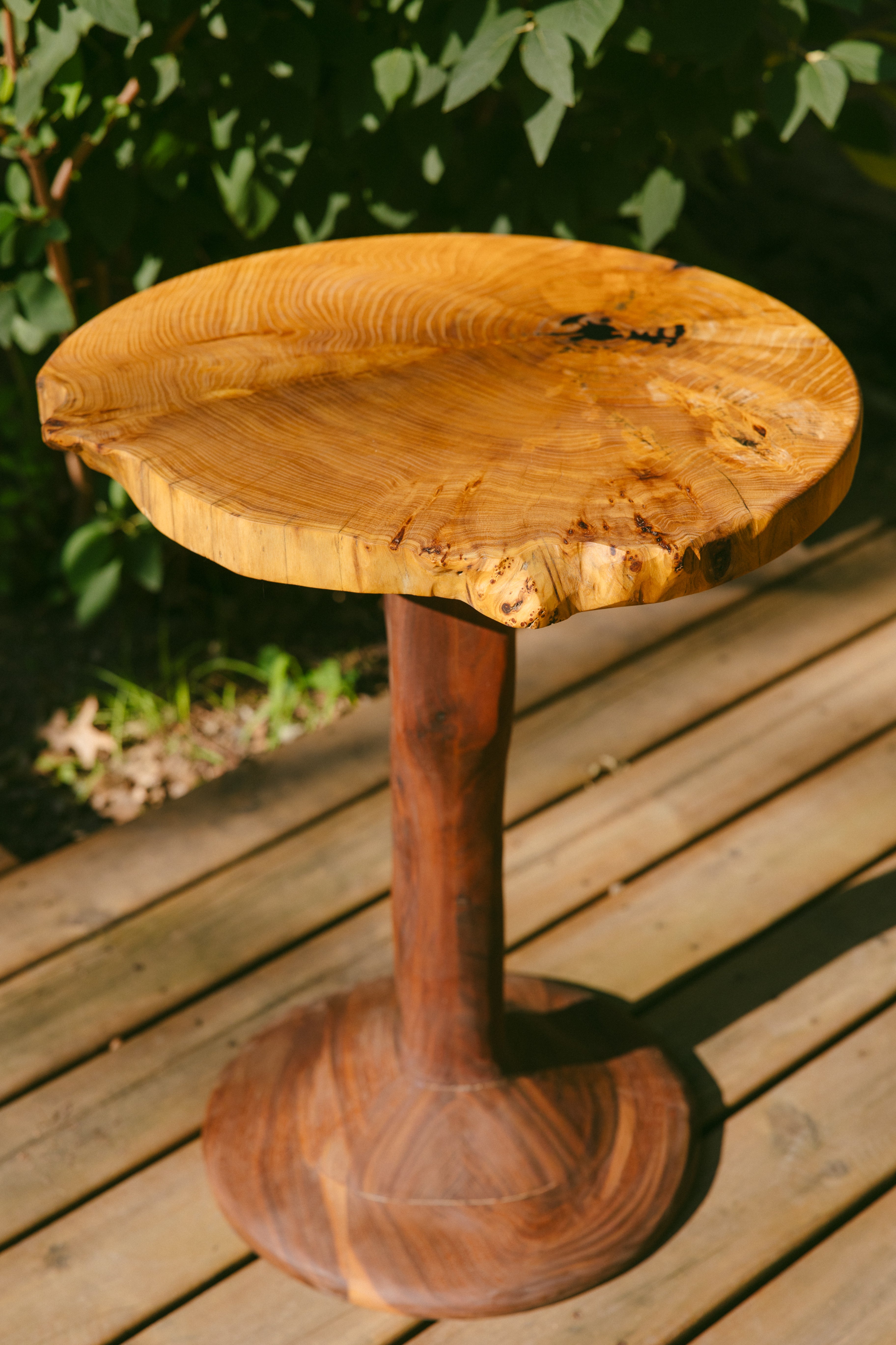 Elm cookie burl and walnut side table