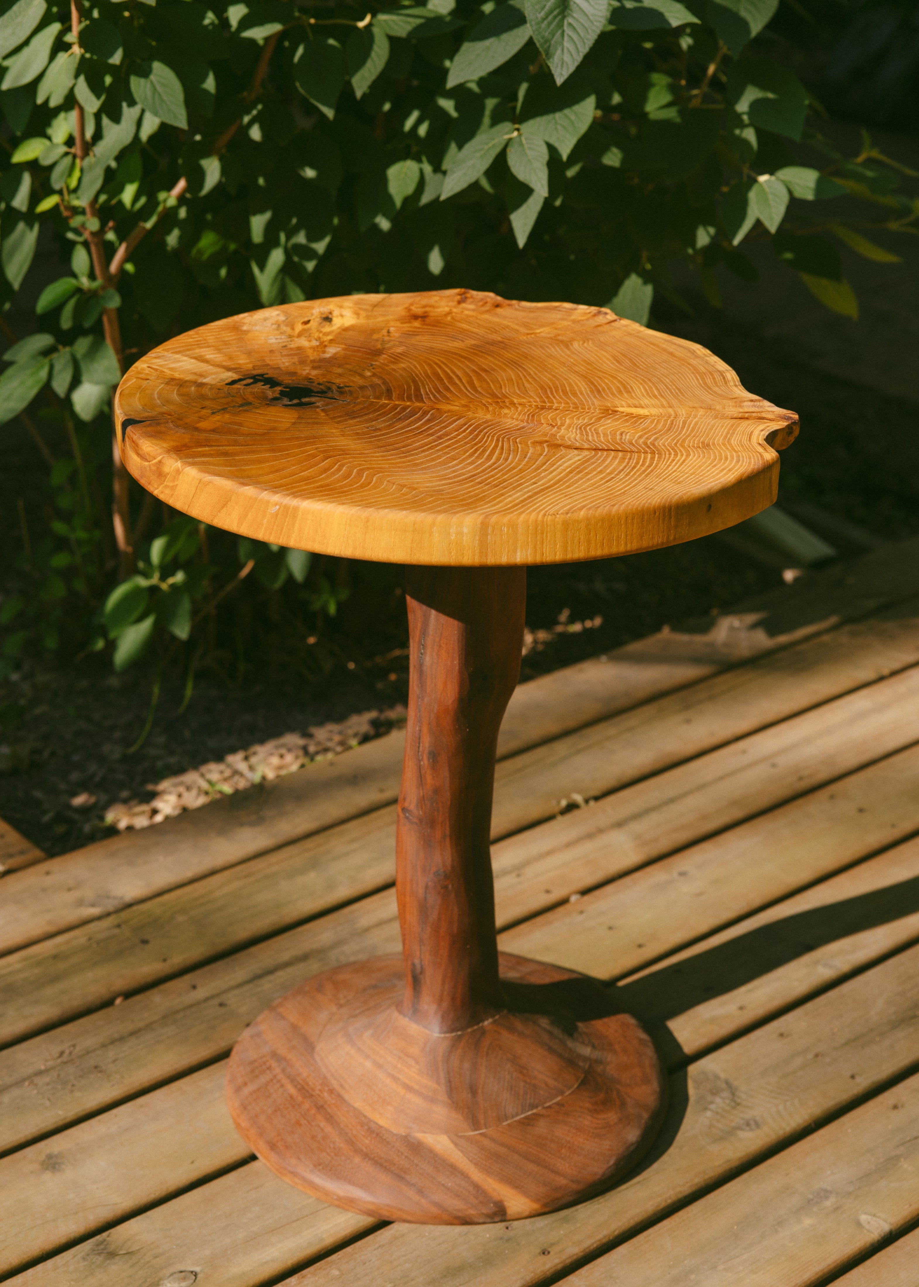 Elm cookie burl and walnut side table